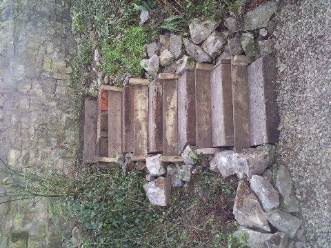 Wall